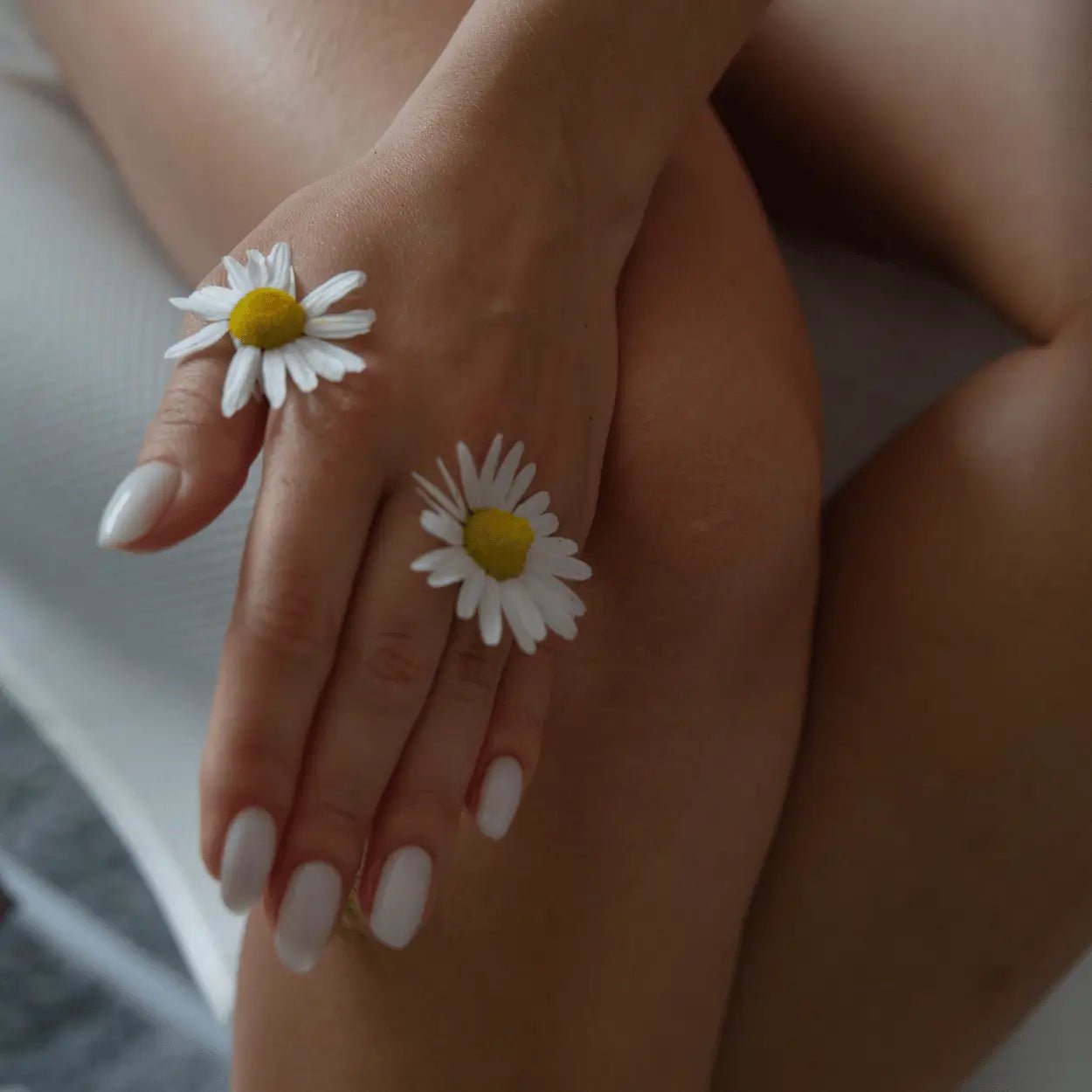 Womans hand with Chamomil flowers