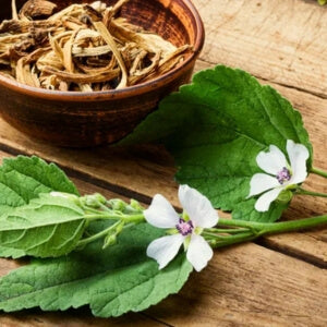 Marshmallow Absolute The ultimate skincare multi-tasker – calming, anti-aging, plumping and anti-inflammatory.