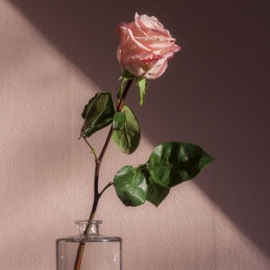 Rose Essence Rose calms and brightens the skin.